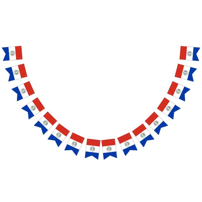 drapeau du Paraguay (Tout)