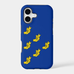 Drapeau du Sussex