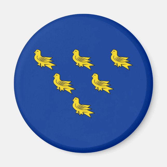 Drapeau du Sussex Magnet (Devant)
