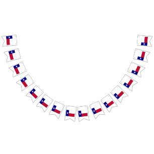 Drapeau étoile solitaire du Texas