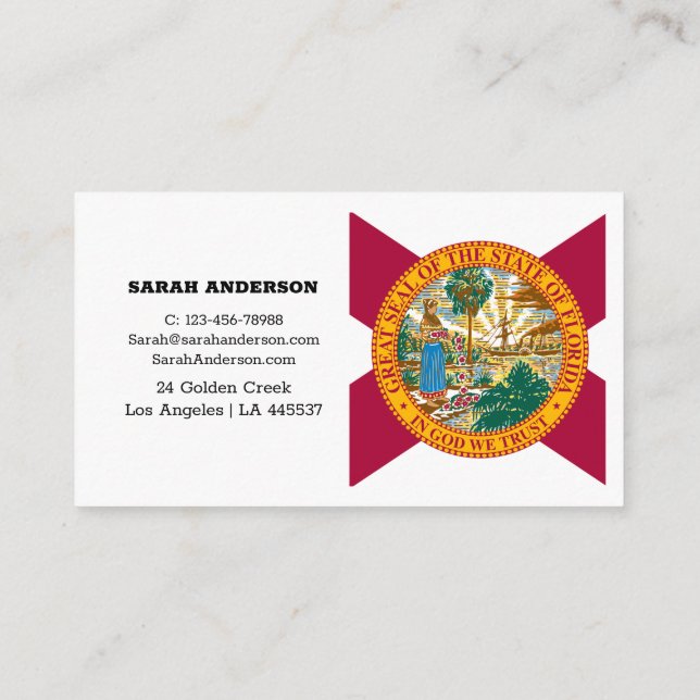 Drapeau Floride Élégants Cartes de visite / USA (Dos)