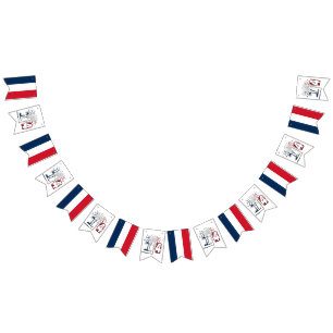 Drapeau Français Juillet 14 Quatorze Juillet 14