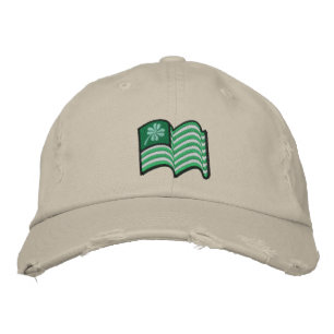 drapeau irlandais chanceux casquette de trèfle