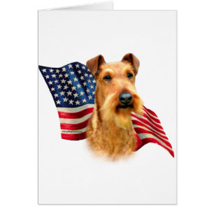 Drapeau irlandais Terrier