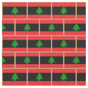 Drapeau libanais et tissu de mode libanais /invers