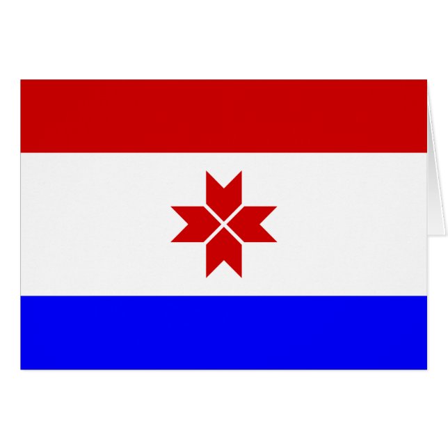 Drapeau Mordovia (Devant horizontal)