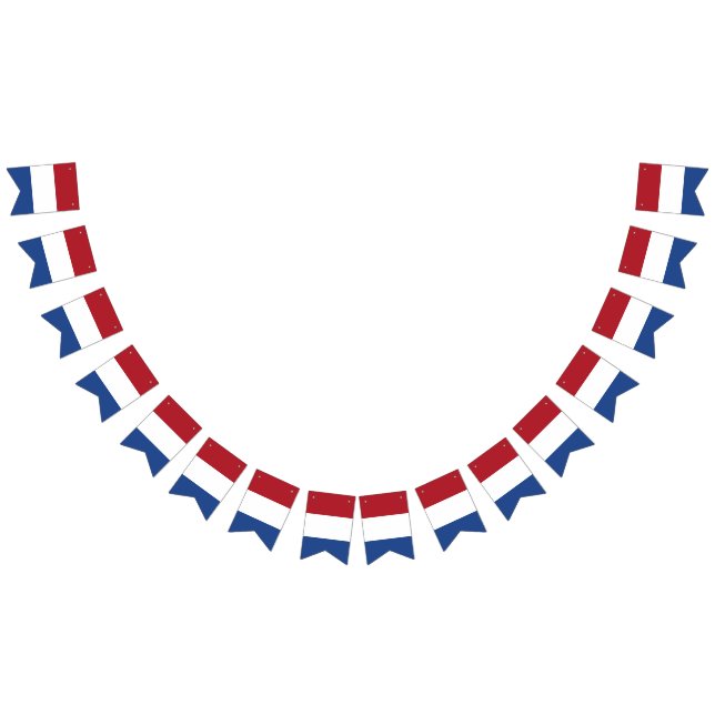 Drapeau néerlandais (Tout)