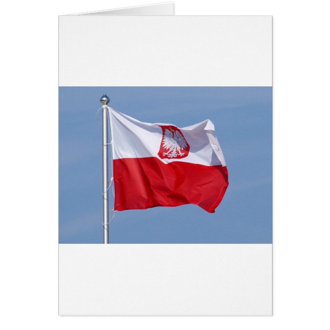 DRAPEAU POLONAIS (Devant)