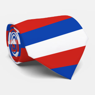 Drapeau Schleswig-Holstein Cravate