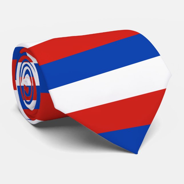 Drapeau Schleswig-Holstein Cravate (Roulé)