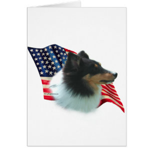 Drapeau Shetland Sheepdog (tri)