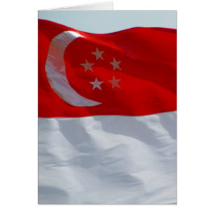 drapeau singapour