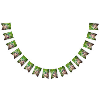 Drapeau Taino Coqui Frog