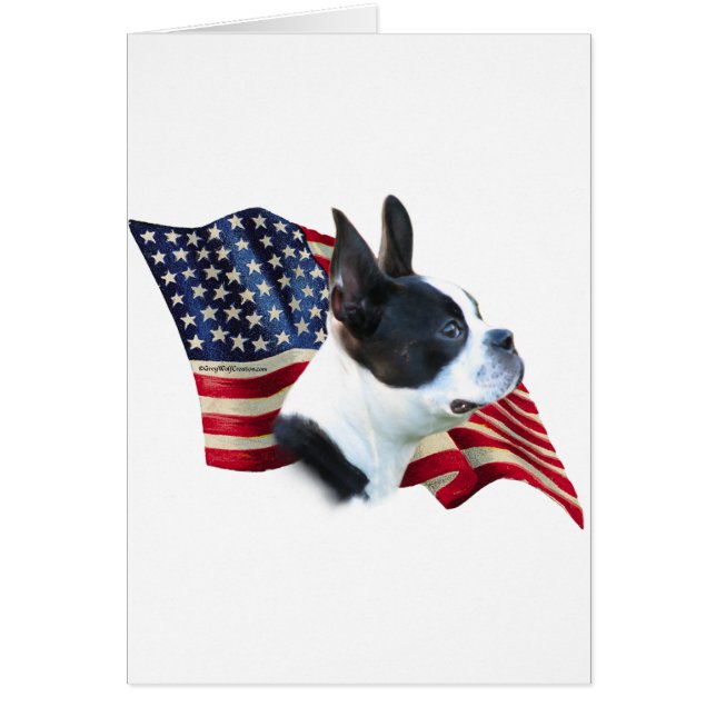 Drapeau Terrier de Boston (Devant)