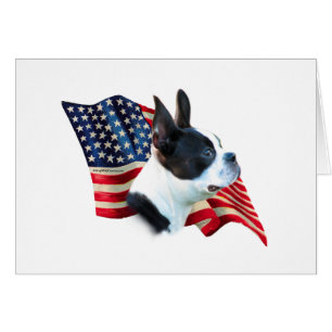 Drapeau Terrier de Boston