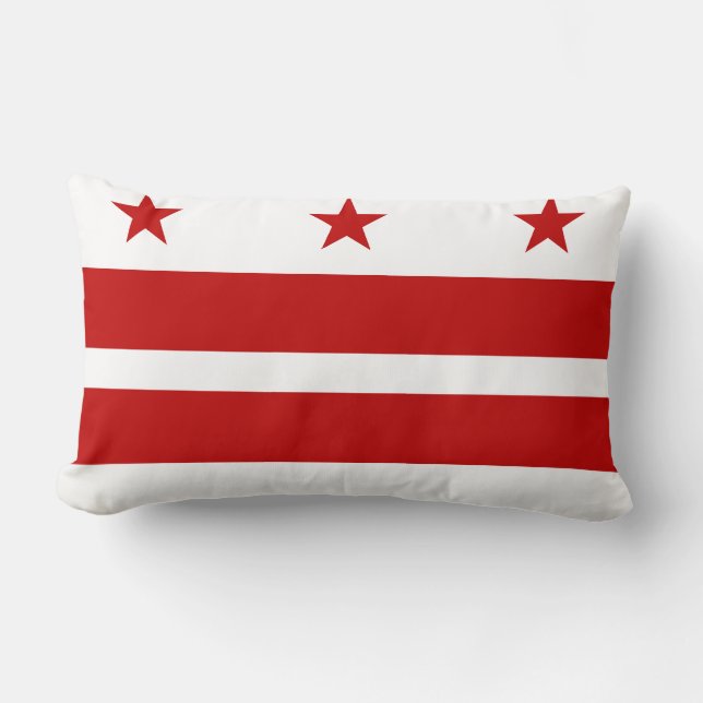 Drapeau Washington D.C., Coussin du drapeau de l'É (Recto)
