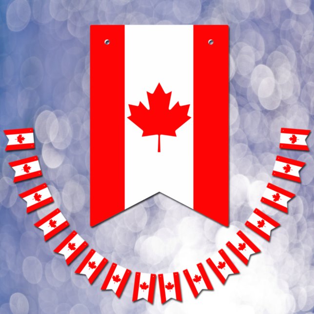 Drapeaux de bottes du Canada, bannières de la fête (Créateur téléchargé)