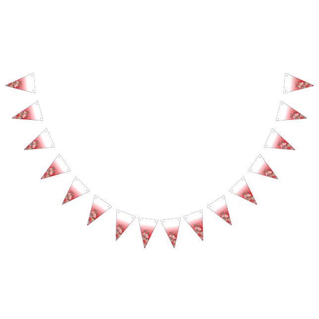 Drapeaux de graduation et de ralliement de fête |  (Tout)