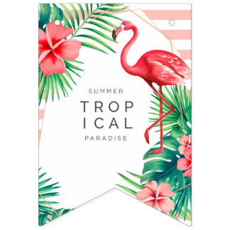 drapeaux de partie de flamant