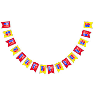 Drapeaux de Transylvanie