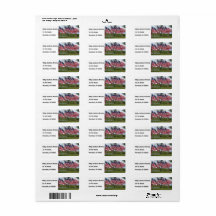 Drapeaux et croix américains