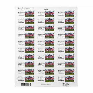 Drapeaux et croix américains