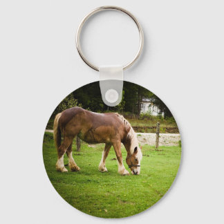 Draught Grazing After Bath Keychain