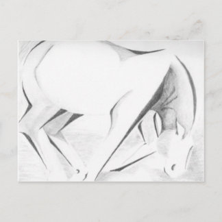 Draught Horse Abstract Postcard