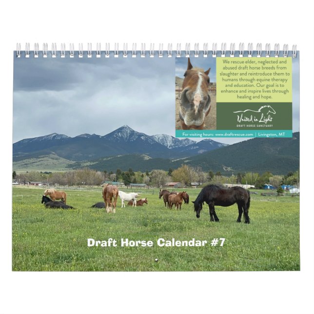 Draught Horse Calendar  (Cover)