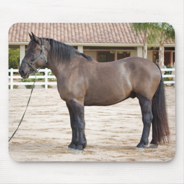 Draught   Horse Mouse Pad (Front)