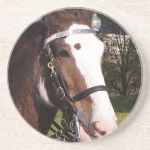 Draught   Horse Rescue Coasters