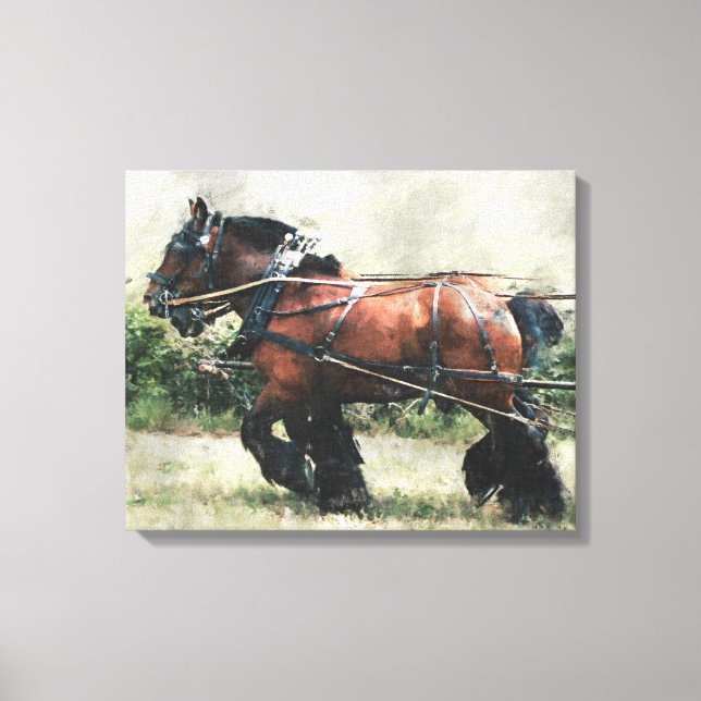Draught horse team in harness canvas print (Front)