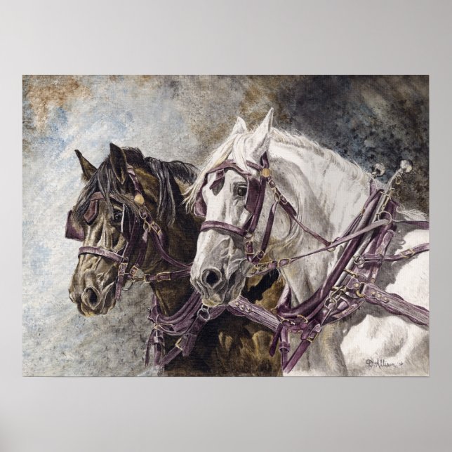 Draught   Horse Team Poster (Front)