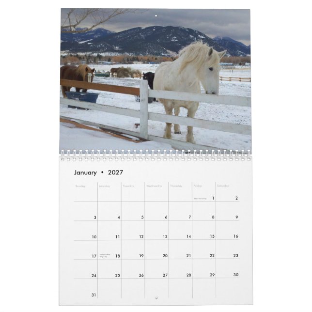 Draught   Horses Calendar #5 (Jan 2027)