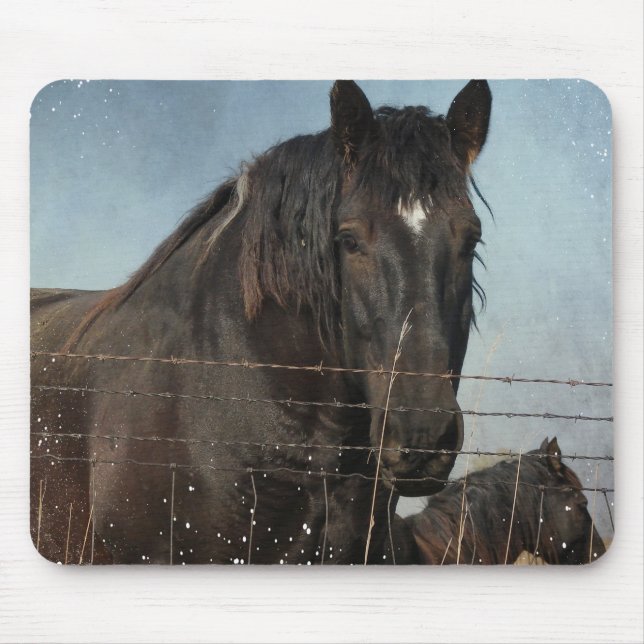 Draught Horses in a pasture Mouse Pad (Front)