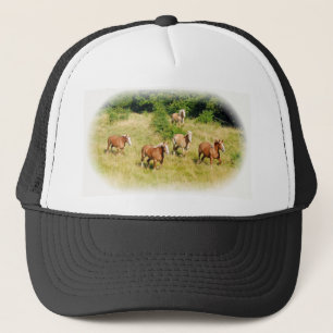 Draught horses in field trucker hat