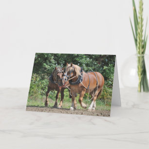 Draught   horses in harness birthday card