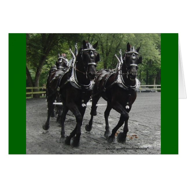 Draught   Horses In Step (Front Horizontal)