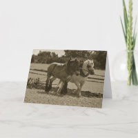 Draught horses plowing birthday