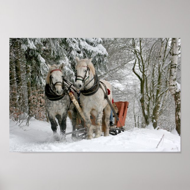 Draught   Horses Pulling Sleigh Poster (Front)