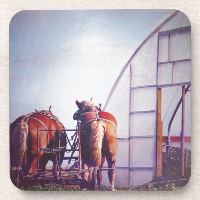 Draught   Horses Ready For Work Coaster (Front)