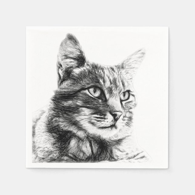 Drawing a cat napkin (Front)
