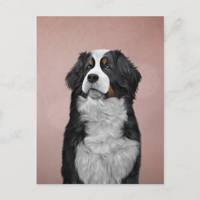 Drawing Bernese Mountain Dog Holiday Postcard (Front)
