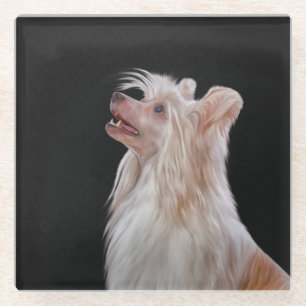 Drawing Chinese crested dog Glass Coaster