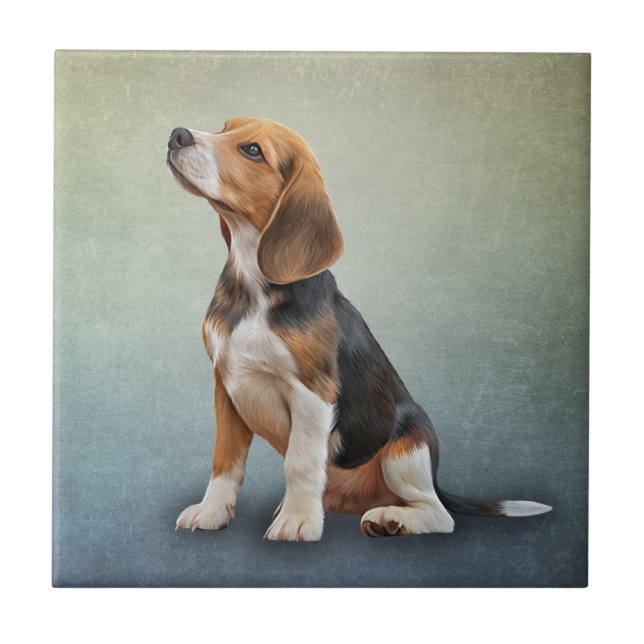 Drawing Dog Beagle 7 Tile (Front)