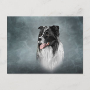 Drawing Dog breed Border Collie Postcard