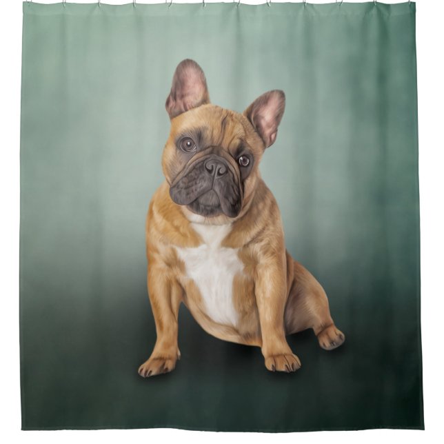 Drawing dog French Bulldog (Front)