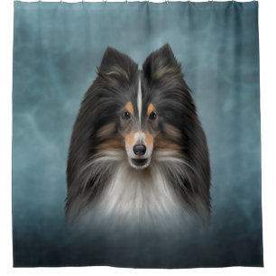 Drawing Dog Shetland Sheepdog, Sheltie
