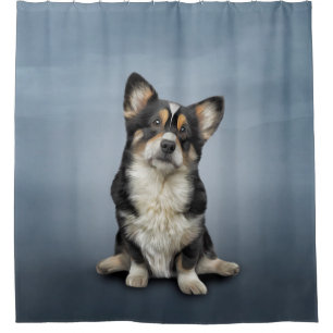 Drawing Dog Welsh Corgi black