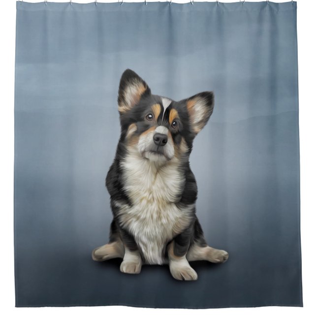 Drawing Dog Welsh Corgi black (Front)